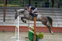 mare with Cassini and Baloubet blood,show jumping, eventing