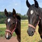 black PRE-mare (weanling) pure Cartujano