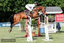 Top jumping mare out of successful dam line