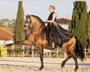 DREAM LUSITANO