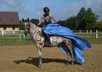 Amazing Allround Gelding for sport or leisure 