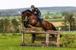 experienced horse for eventing or show jumping