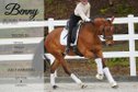 High-quality super cool young horse WITH VIDEO