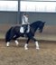 Dressage heartbreaker in black jacket