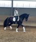 Dressage heartbreaker in black jacket