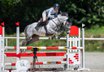 BONNIE-talented small mare with amazing jump and perfect pedigree